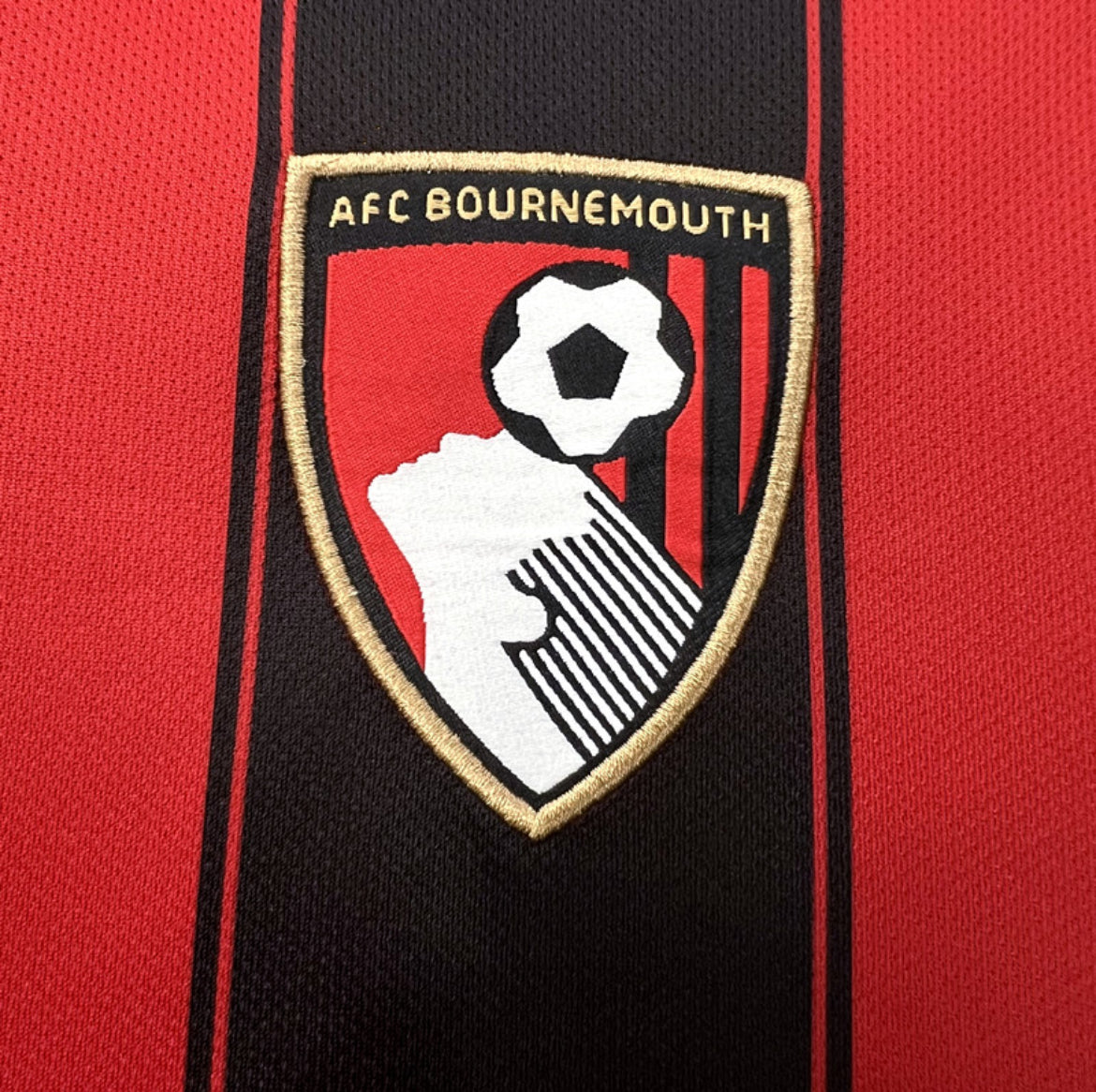 Bournemouth 2024 domicile
