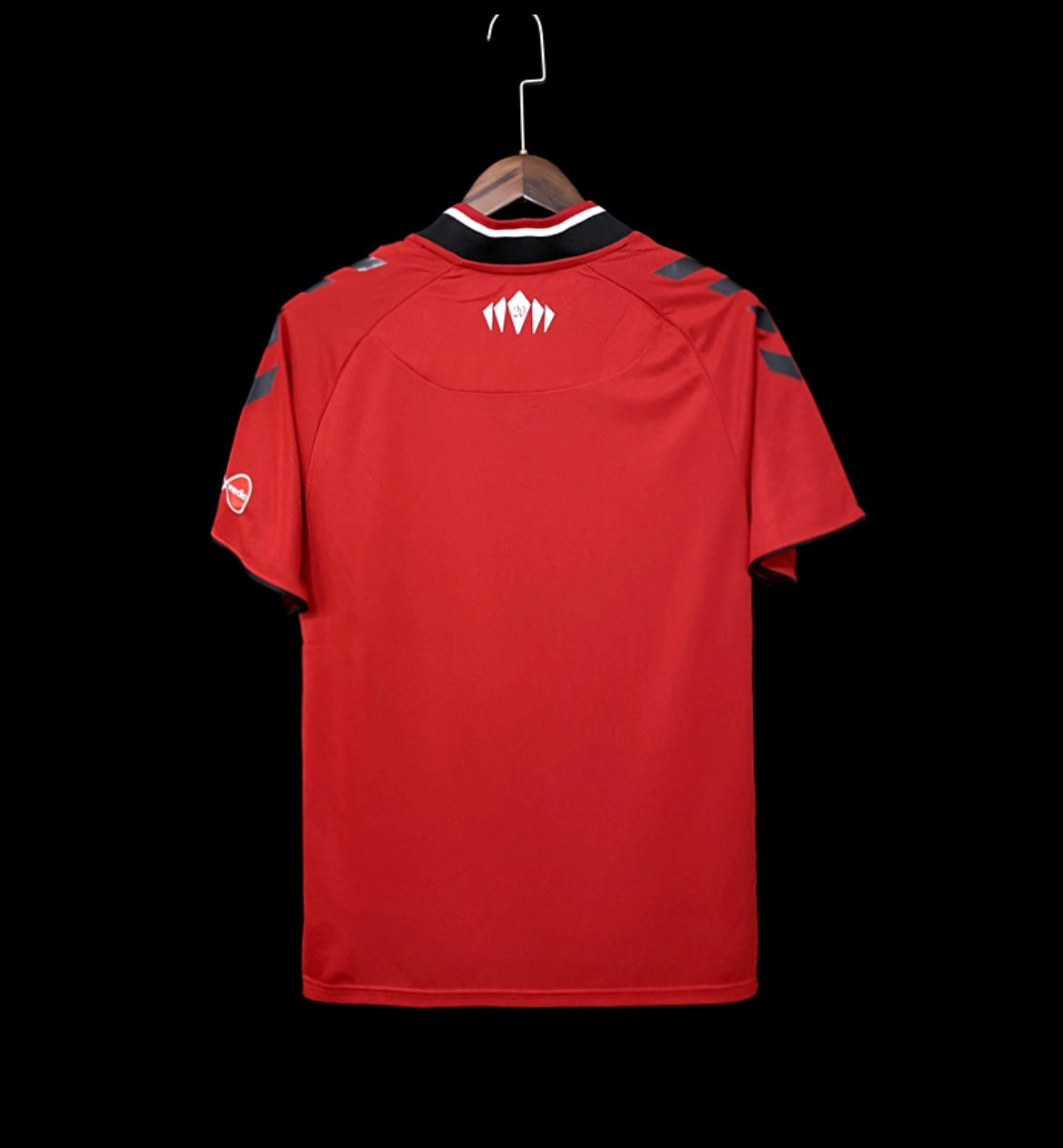 Southampton 2022 domicile