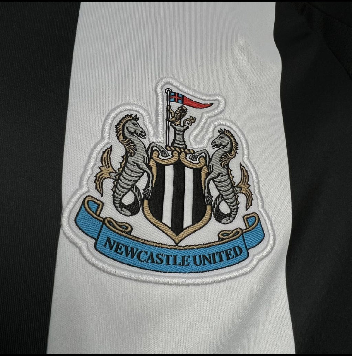 Newcastle 2025 domicile