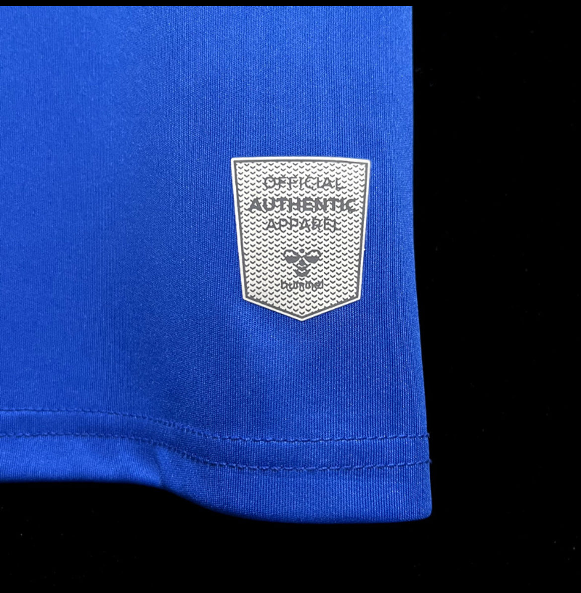 Everton 2024 domicile