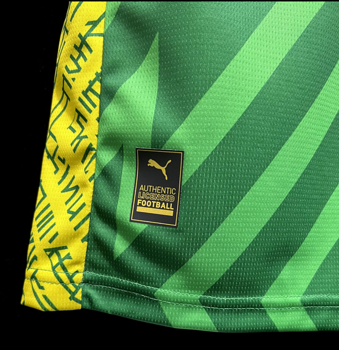 Manchester City 2024 gardien