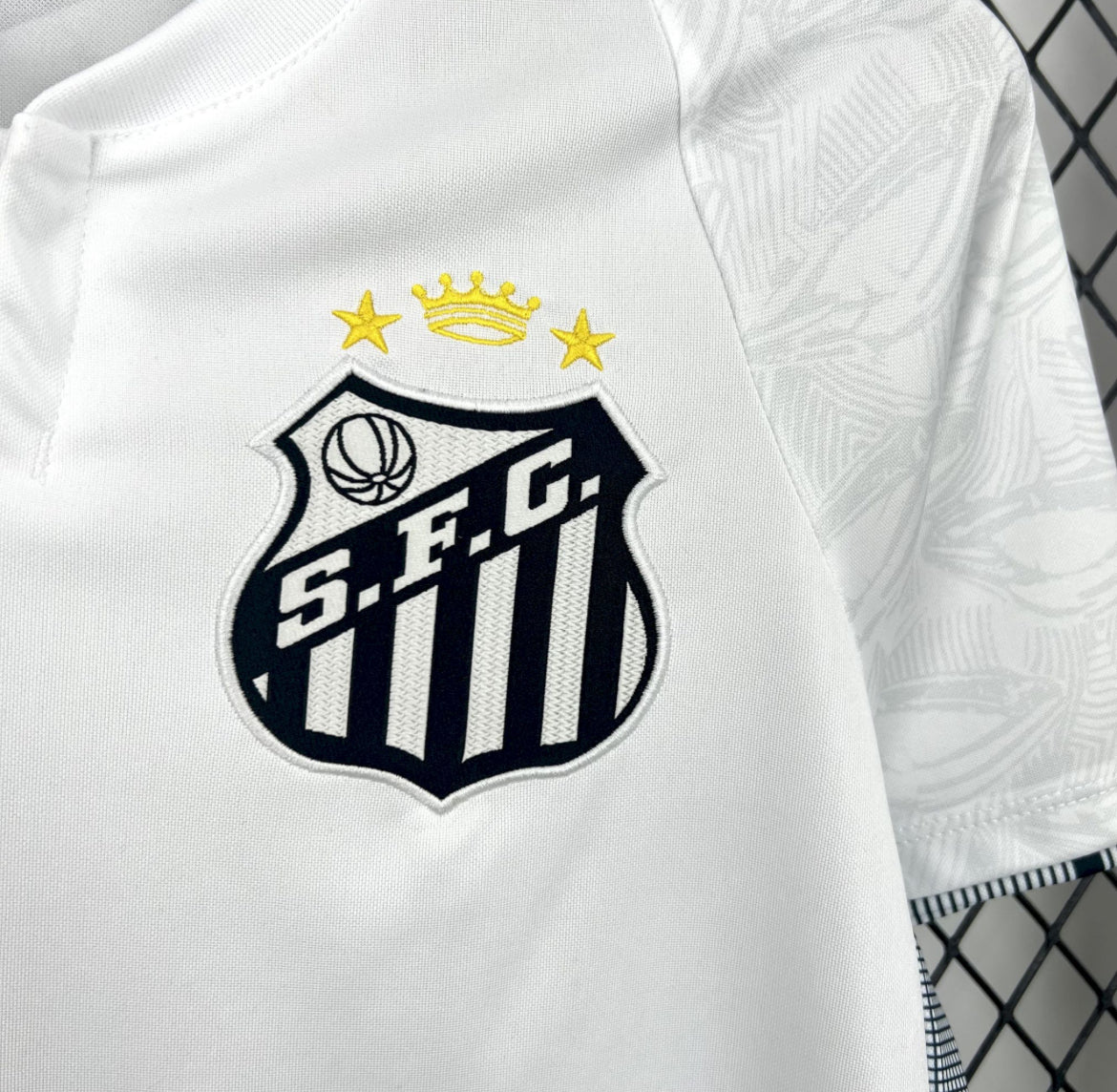 Santos 2025 Domicile