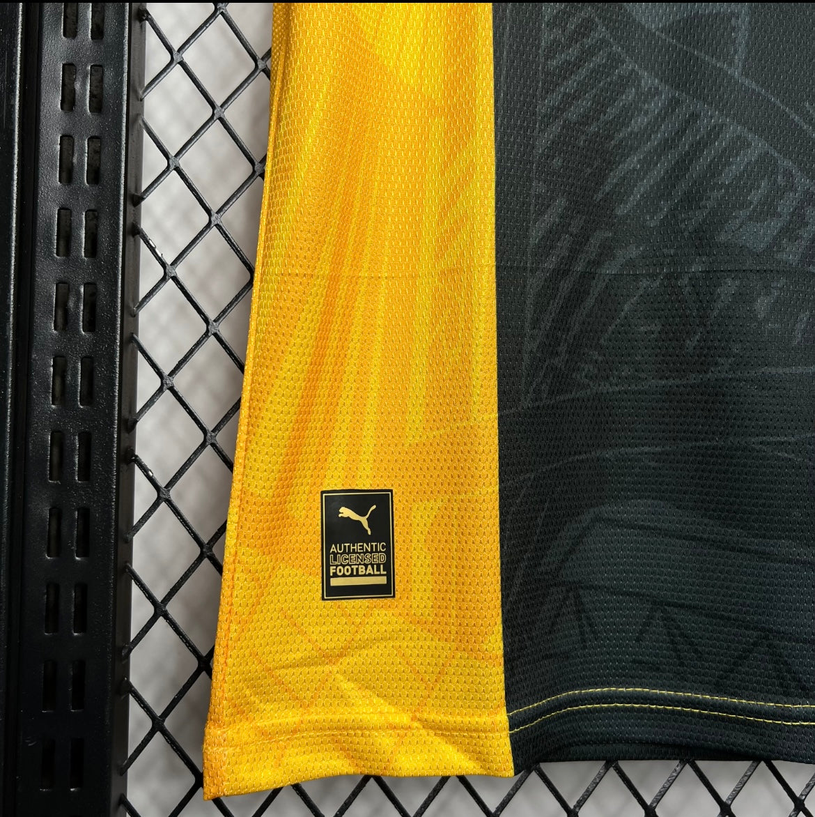 Borussia Dortmund 2024 édition spéciale