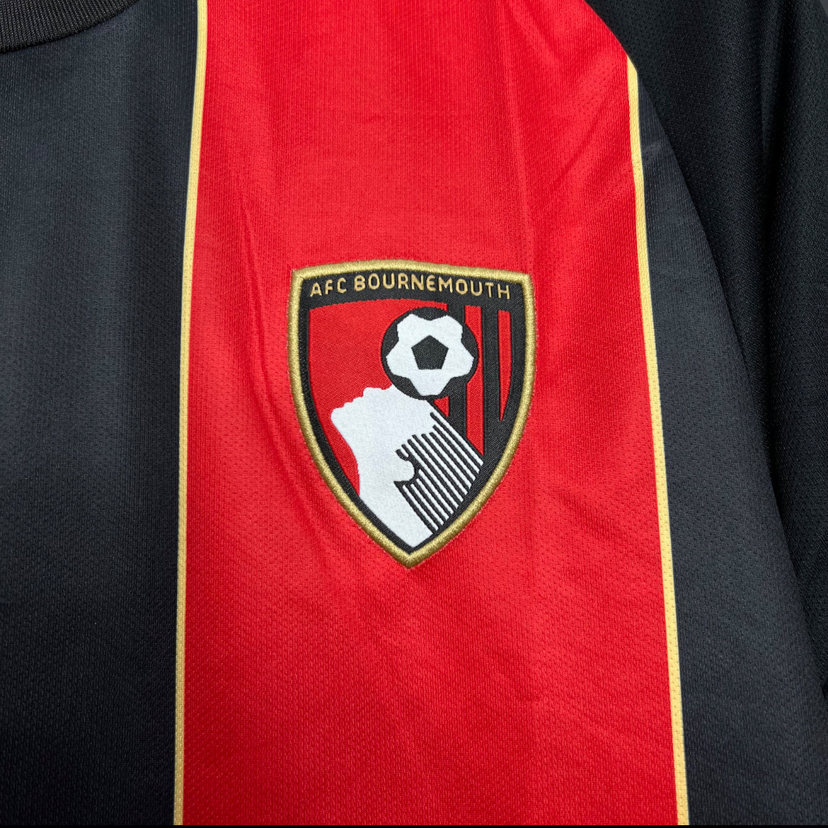 Bournemouth 2025 domicile
