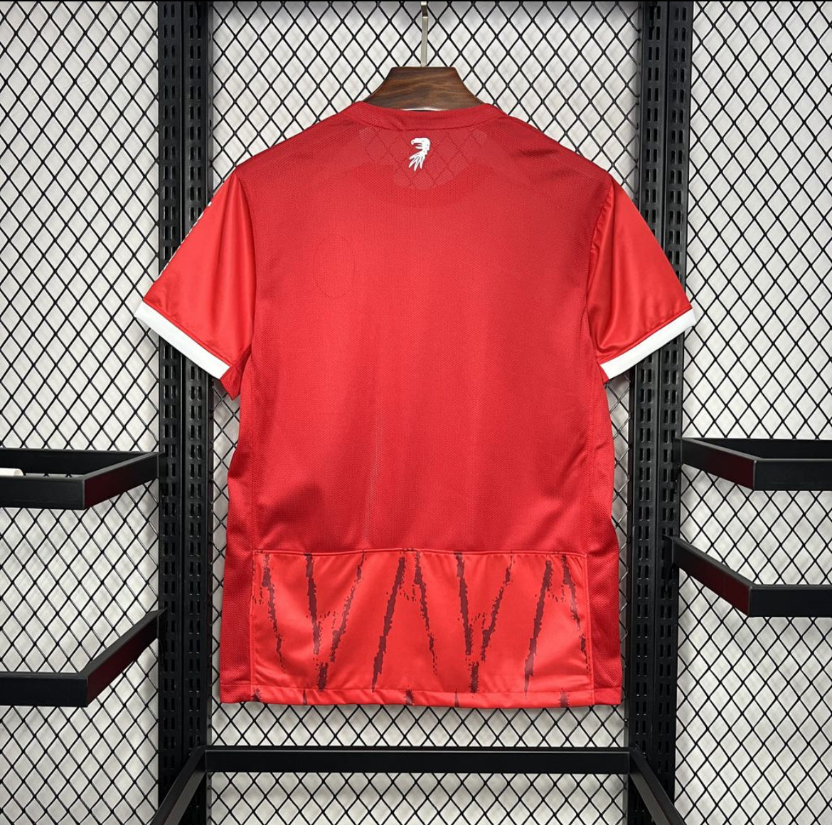 Freiburg 2025 home