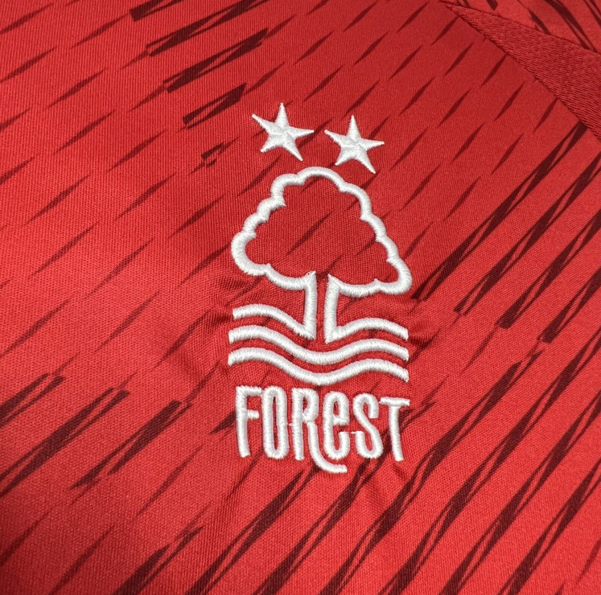Nottingham Forest 2025 domicile