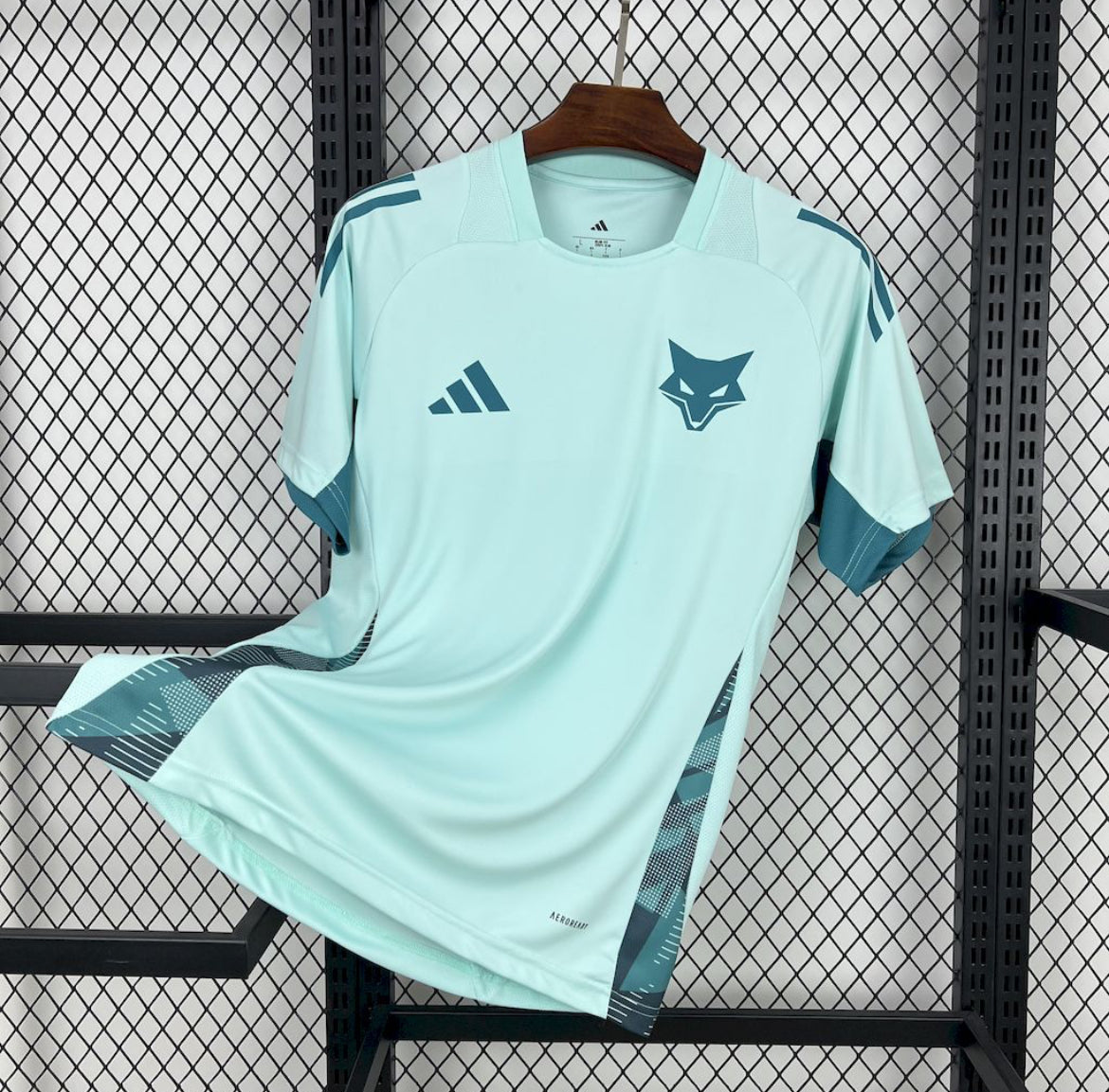 Cruzeiro 2025 Entraînement