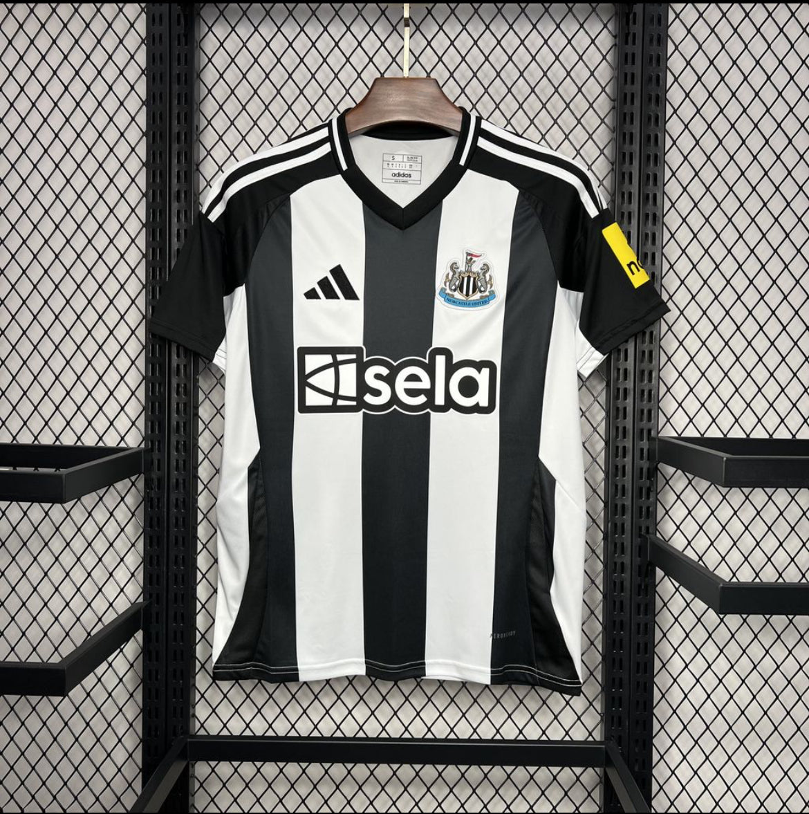 Newcastle 2025 domicile