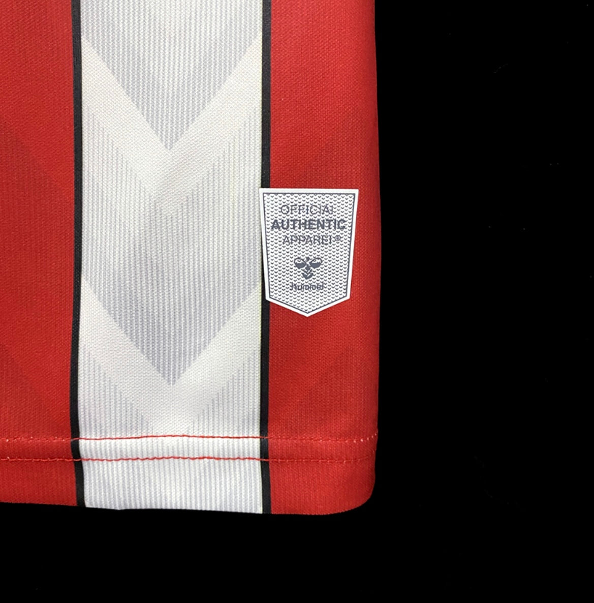 Southampton 2022 domicile