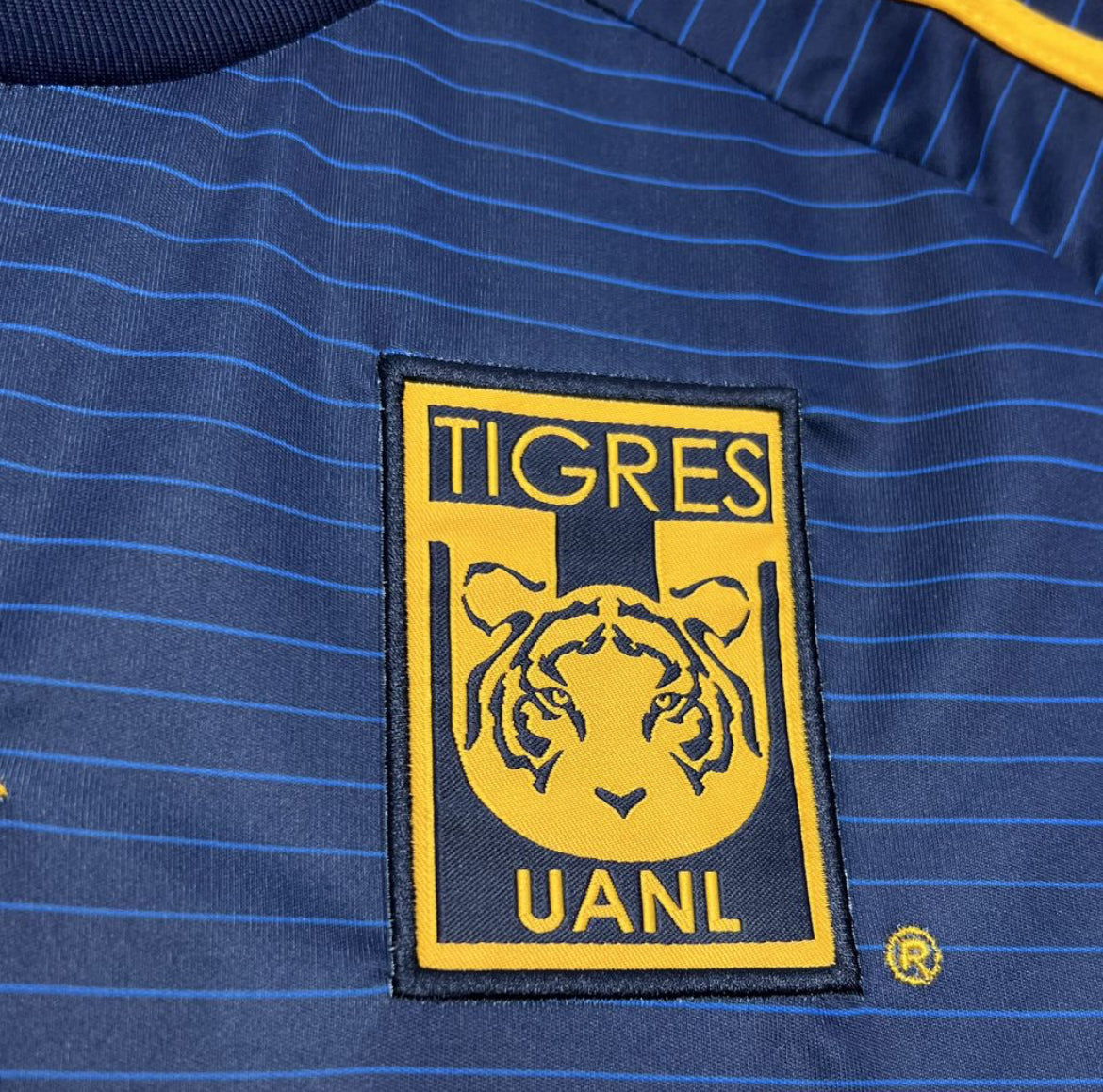Tigres 2024 extérieur