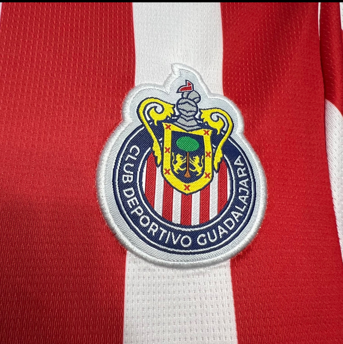 Chivas 2025 Domicile