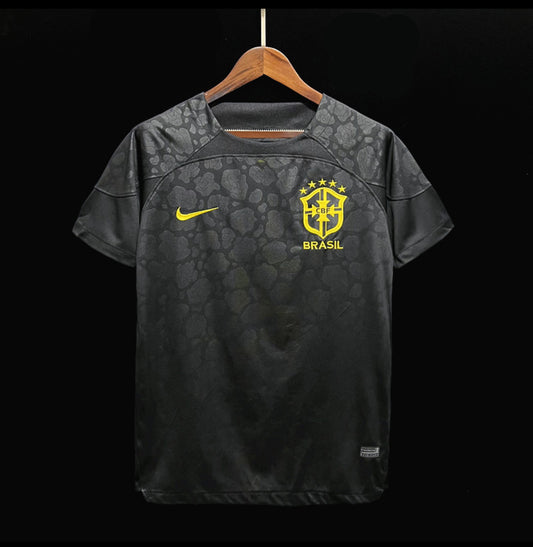 Brésil 2023 gardien